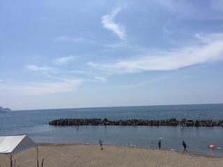 2C5D2116-F9BA-4478-99EC-3AC652FE7F95.jpg