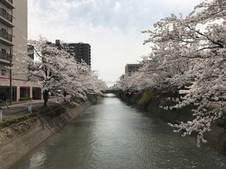 AFCED50E-F737-43B9-BDF0-F085E0297BCB.jpg